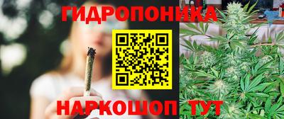 ECSTASY Малгобек